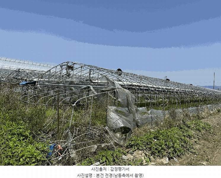 2025타경101385 부산광역시 강서구 강동동 3533 농지 경매 이미지