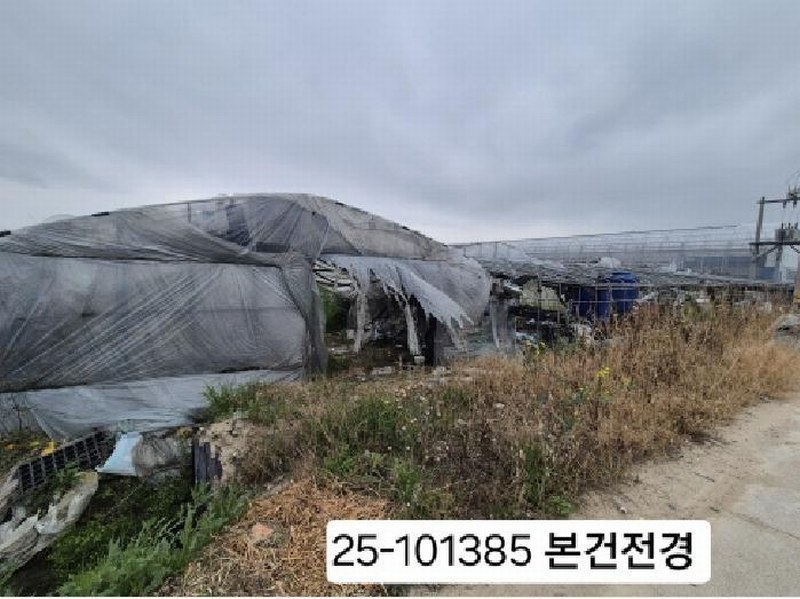 2025타경101385 부산광역시 강서구 강동동 3533 농지 경매 이미지