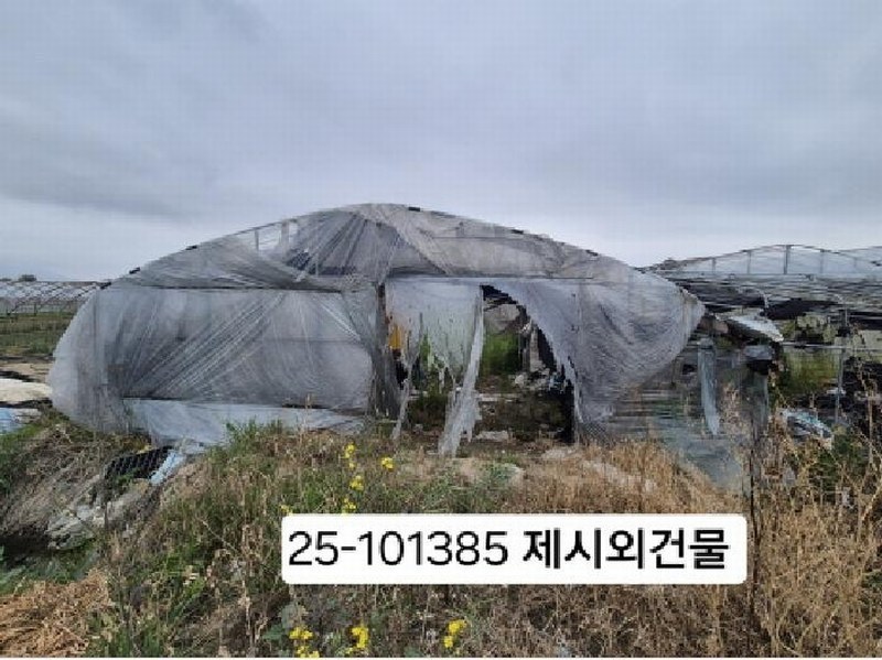 2025타경101385 부산광역시 강서구 강동동 3533 농지 경매 이미지