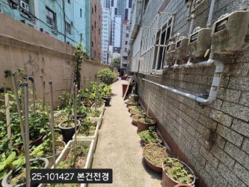 2025타경101427 부산광역시 사상구 괘법동 524-33 도로 경매 이미지