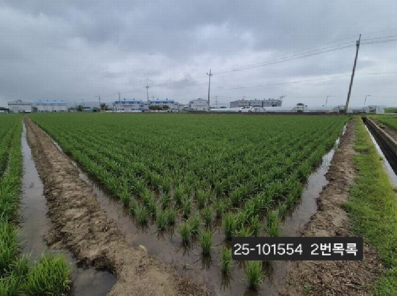 2025타경101554 부산광역시 강서구 죽동동 501-1 농지 경매 이미지