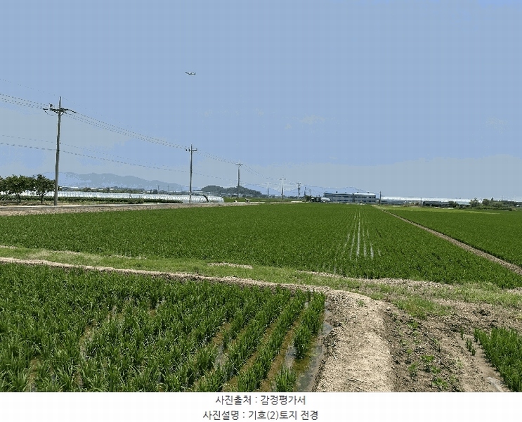 2025타경101554 부산광역시 강서구 죽동동 501-1 농지 경매 이미지