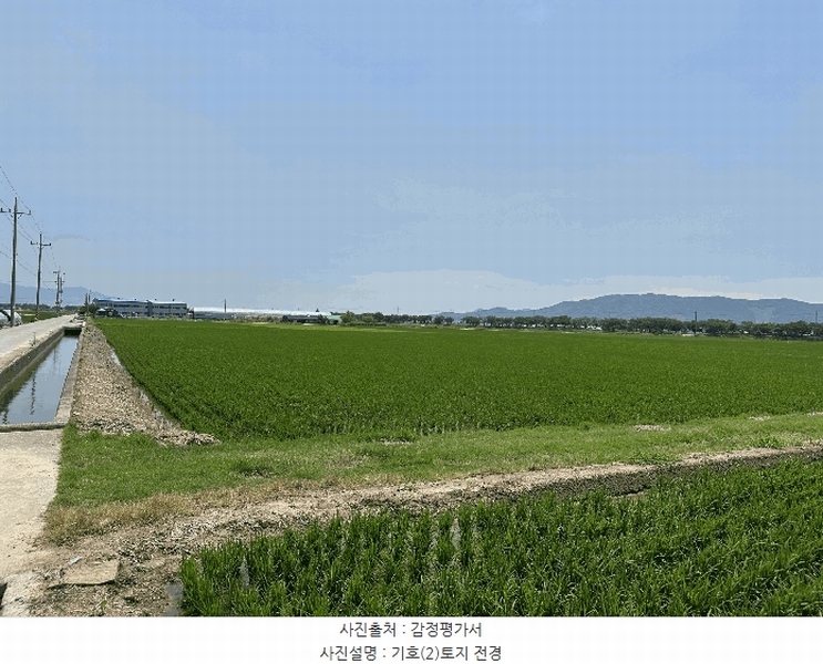 2025타경101554 부산광역시 강서구 죽동동 501-1 농지 경매 이미지
