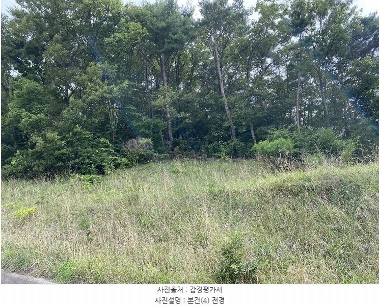 2024타경107093 부산광역시 강서구 생곡동 산115 임야 경매 이미지