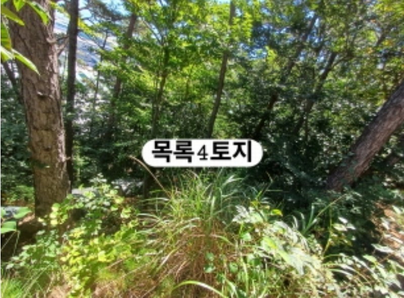 2024타경107093 부산광역시 강서구 생곡동 산115 임야 경매 이미지