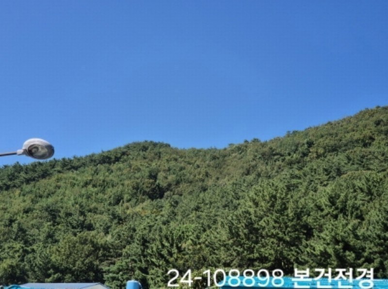 2024타경108898 부산광역시 사상구 학장동 산114-1 임야 경매 이미지