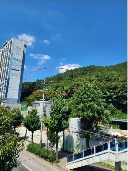 2024타경108898 부산광역시 사상구 학장동 산114-1 임야 경매 이미지
