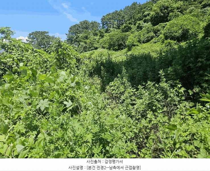 2025타경1994 부산광역시 강서구 성북동 1228-2 농지 경매 이미지