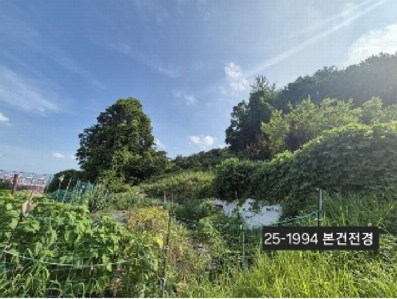 2025타경1994 부산광역시 강서구 성북동 1228-2 농지 경매 이미지