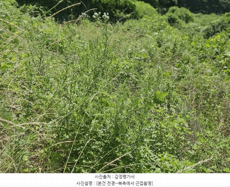 2025타경1994 부산광역시 강서구 성북동 1228-2 농지 경매 이미지
