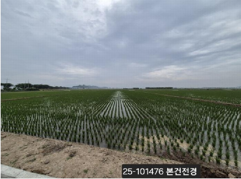 2025타경101476 부산광역시 강서구 죽동동 528-4 농지 경매 이미지