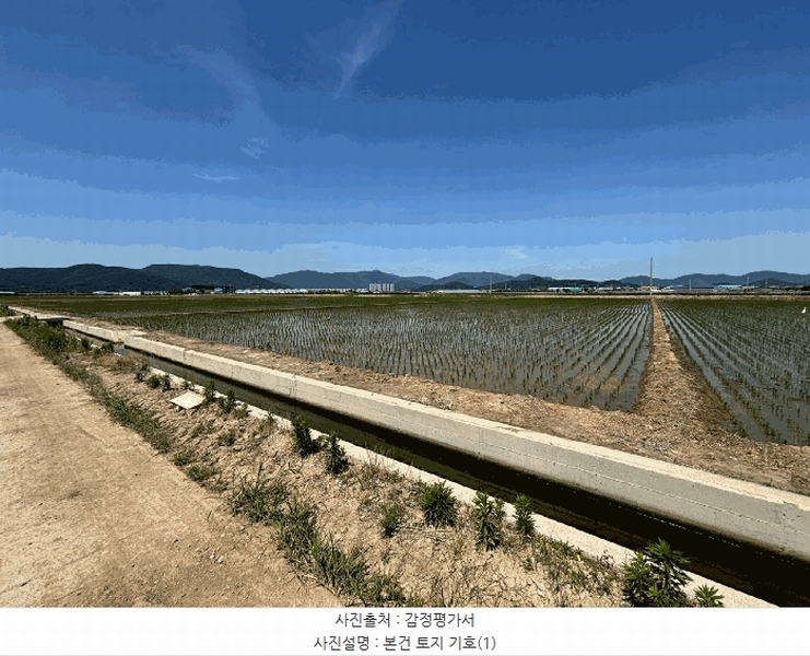 2025타경101476 부산광역시 강서구 죽동동 528-4 농지 경매 이미지