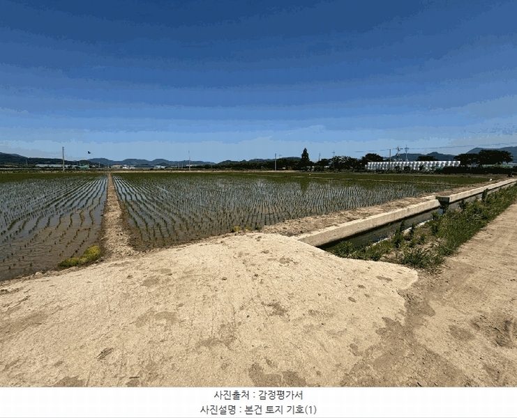 2025타경101476 부산광역시 강서구 죽동동 528-4 농지 경매 이미지