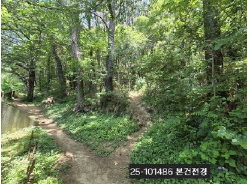 2025타경101486 부산광역시 북구 덕천동 산118-1 임야 경매 이미지