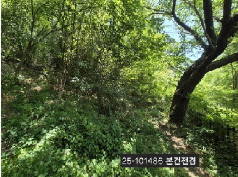 2025타경101486 부산광역시 북구 덕천동 산118-1 임야 경매 이미지