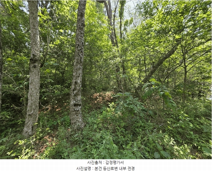 2025타경101486 부산광역시 북구 덕천동 산118-1 임야 경매 이미지