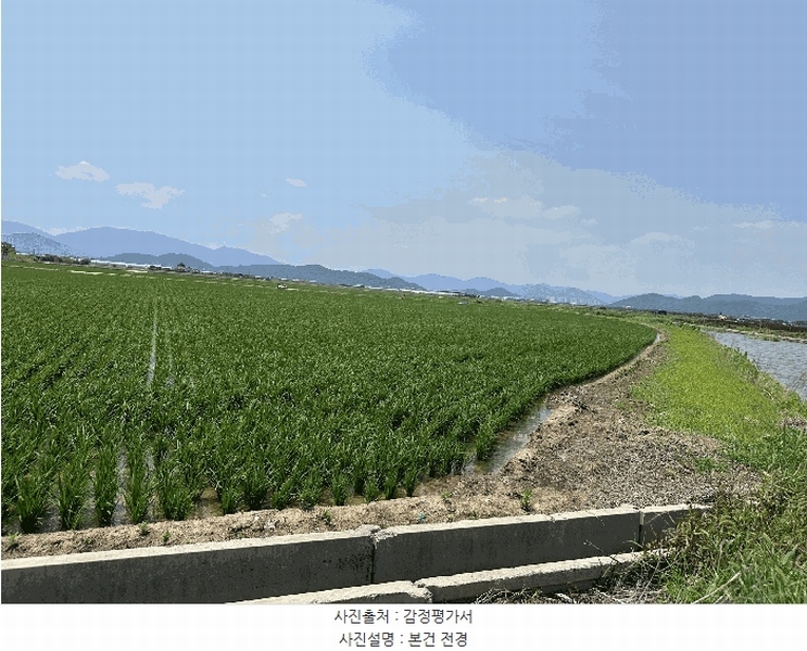 2025타경101523 부산광역시 강서구 죽동동 531-28 농지 경매 이미지