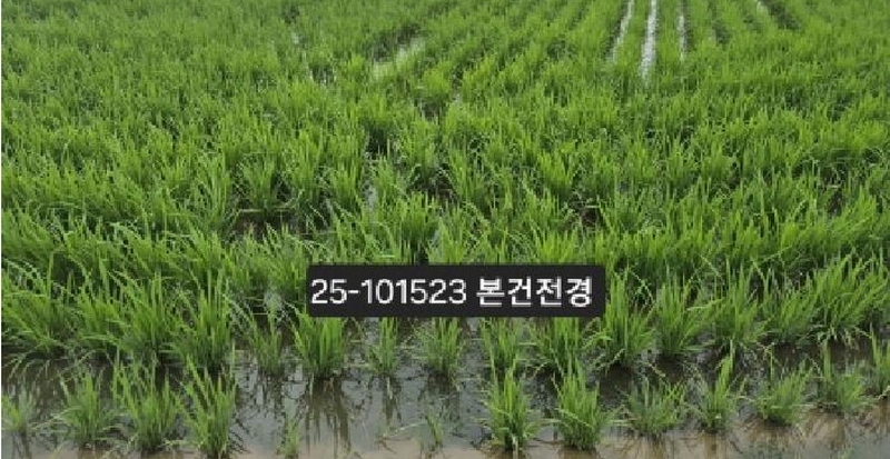 2025타경101523 부산광역시 강서구 죽동동 531-28 농지 경매 이미지
