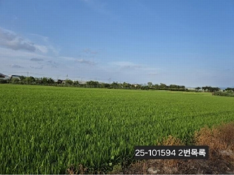 2025타경101594 부산광역시 강서구 대저1동 3229 농지 경매 이미지