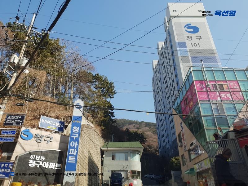2025타경101761 부산광역시 사하구 낙동대로520번길 14, 하단청구아파트 1동 1층 101호 아파트[공급45평형] 경매 이미지