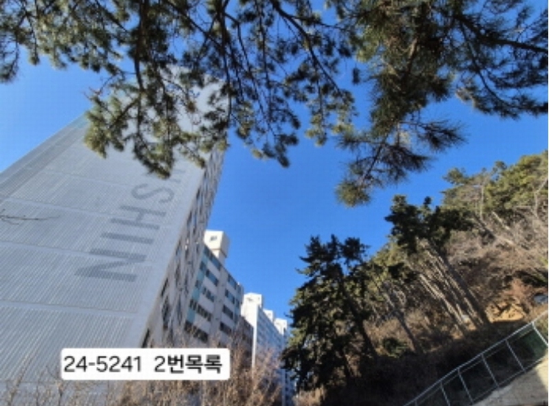 2024타경5241 부산광역시 사하구 괴정동 산139-1 임야 경매 이미지
