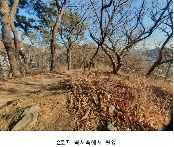 2024타경5241 부산광역시 사하구 괴정동 산139-1 임야 경매 이미지