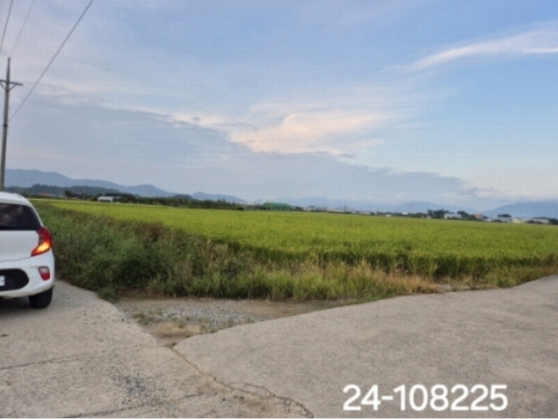2024타경108225 부산광역시 강서구 봉림동 837-2 농지 경매 이미지