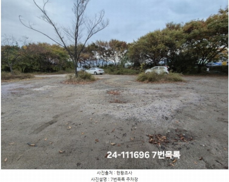 2024타경111696 부산광역시 강서구 대저1동 332-18 근린주택 경매 이미지