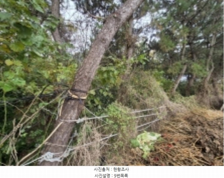 2024타경111696 부산광역시 강서구 대저1동 332-18 근린주택 경매 이미지
