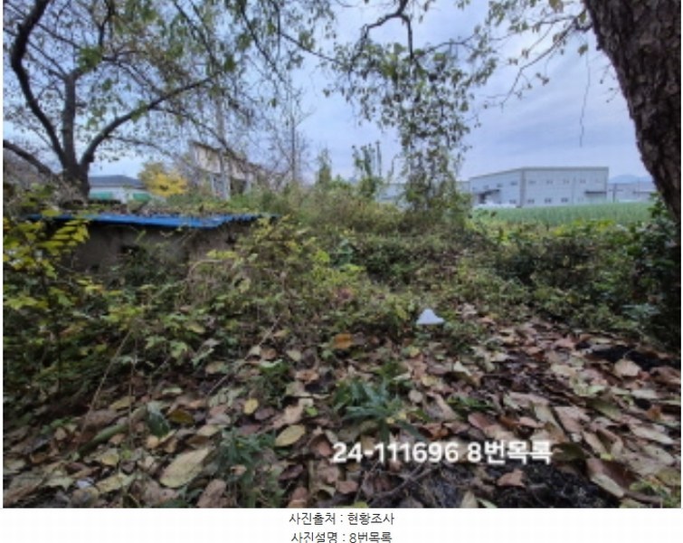 2024타경111696 부산광역시 강서구 대저1동 332-18 근린주택 경매 이미지