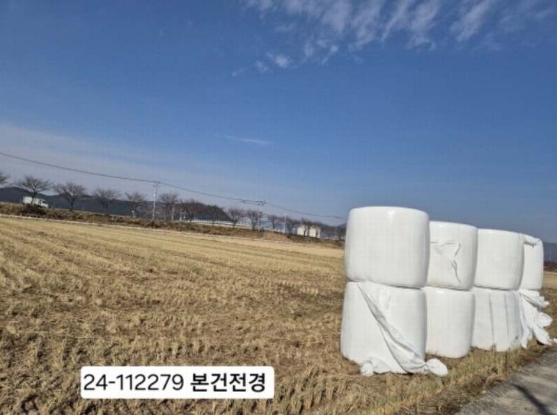 2024타경112279 부산광역시 강서구 죽동동 520-13 농지 경매 이미지