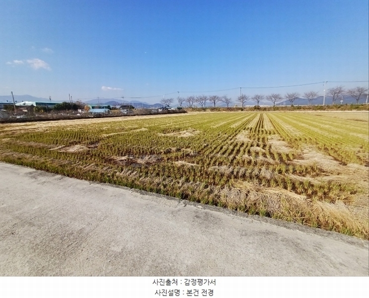 2024타경112279 부산광역시 강서구 죽동동 520-13 농지 경매 이미지