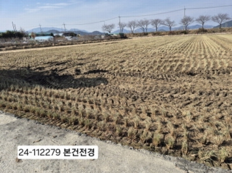 2024타경112279 부산광역시 강서구 죽동동 520-13 농지 경매 이미지