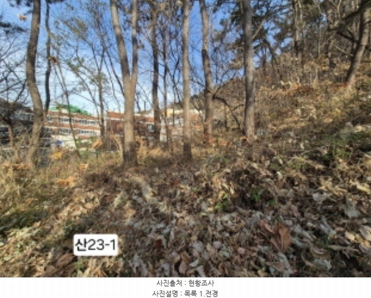 2024타경112910 부산광역시 북구 구포동 산23-1 임야 경매 이미지