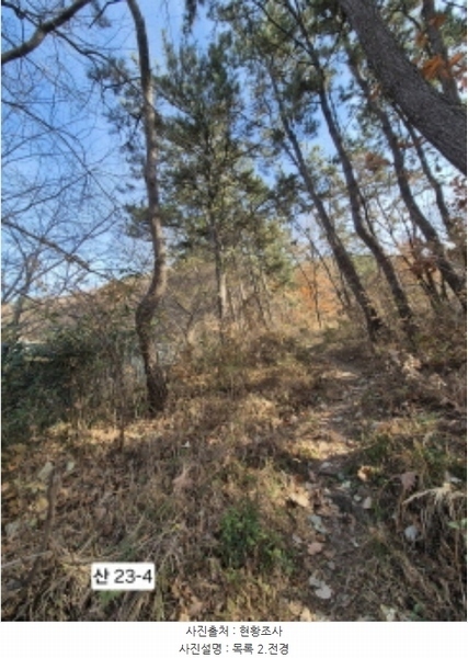2024타경112910 부산광역시 북구 구포동 산23-1 임야 경매 이미지