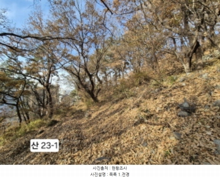 2024타경112910 부산광역시 북구 구포동 산23-1 임야 경매 이미지