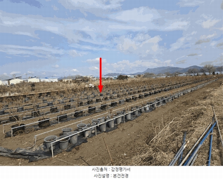 2025타경101090 부산광역시 강서구 대저2동 513-48 농지 경매 이미지