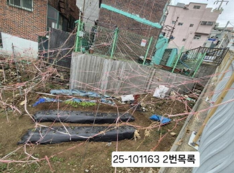 2025타경101163 부산광역시 서구 남부민동 26-11 대지 경매 이미지