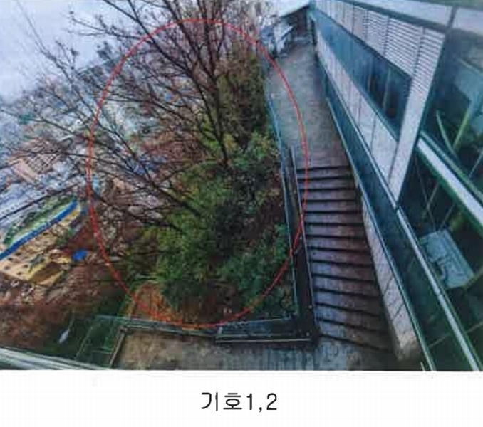 2024타경604 부산광역시 서구 남부민동 50-1 임야 경매 이미지