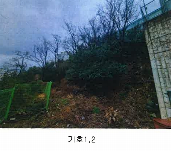 2024타경604 부산광역시 서구 남부민동 50-1 임야 경매 이미지
