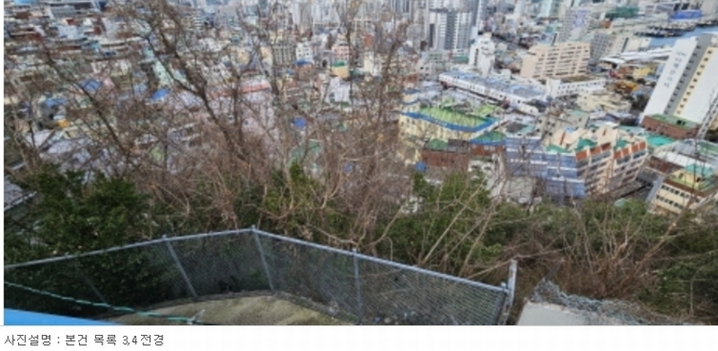 2024타경604 부산광역시 서구 남부민동 50-1 임야 경매 이미지