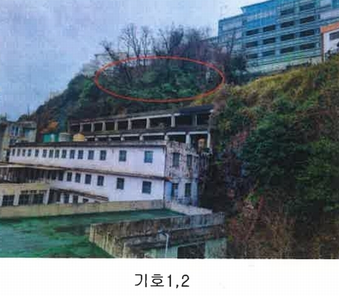 2024타경604 부산광역시 서구 남부민동 50-1 임야 경매 이미지