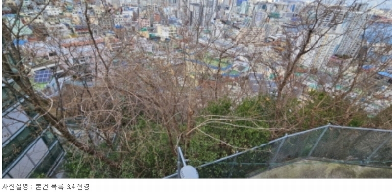 2024타경604 부산광역시 서구 남부민동 50-1 임야 경매 이미지