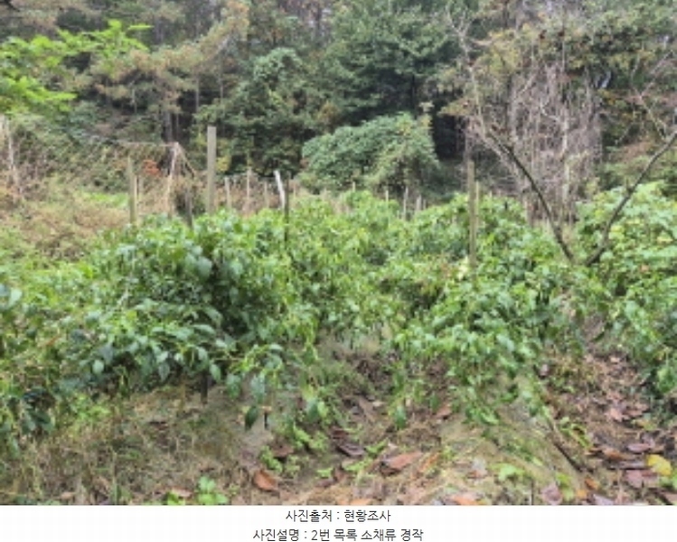2024타경4521 부산광역시 강서구 범방동 1664 농지 경매 이미지