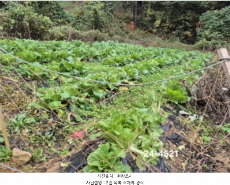 2024타경4521 부산광역시 강서구 범방동 1664 농지 경매 이미지