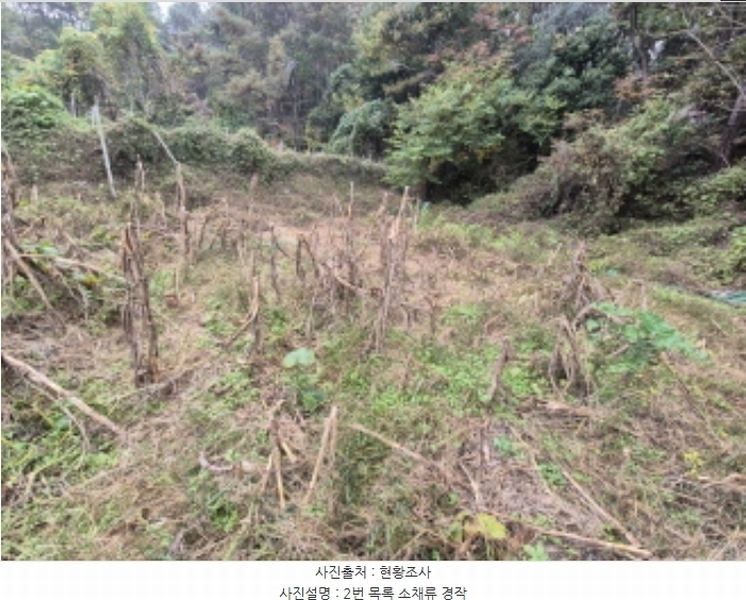 2024타경4521 부산광역시 강서구 범방동 1664 농지 경매 이미지