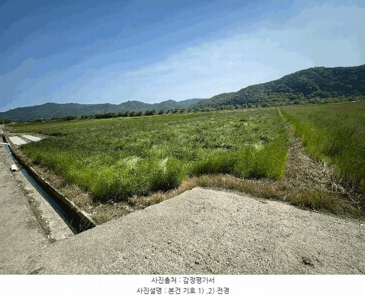 2025타경205 경상남도 창원시 마산합포구 진전면 곡안리 414-3 농지 경매 이미지