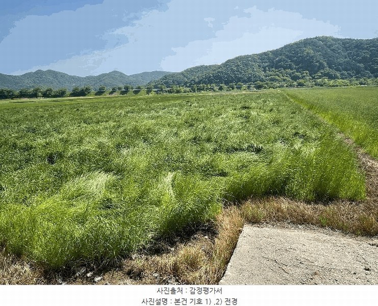 2025타경205 경상남도 창원시 마산합포구 진전면 곡안리 414-3 농지 경매 이미지