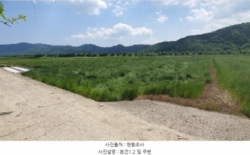 2025타경205 경상남도 창원시 마산합포구 진전면 곡안리 414-3 농지 경매 이미지