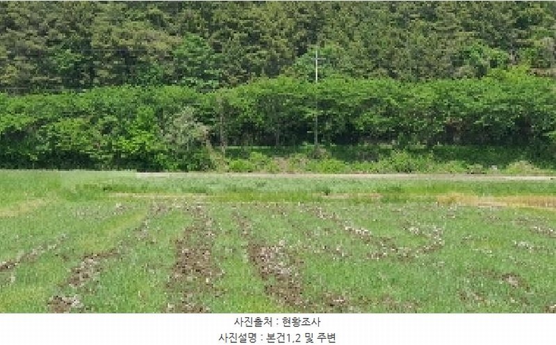 2025타경205 경상남도 창원시 마산합포구 진전면 곡안리 414-3 농지 경매 이미지